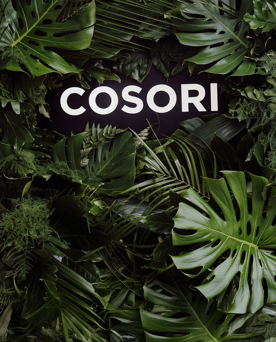 COSORI influencer marketing