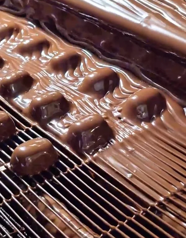 Stühmer x Armadillo